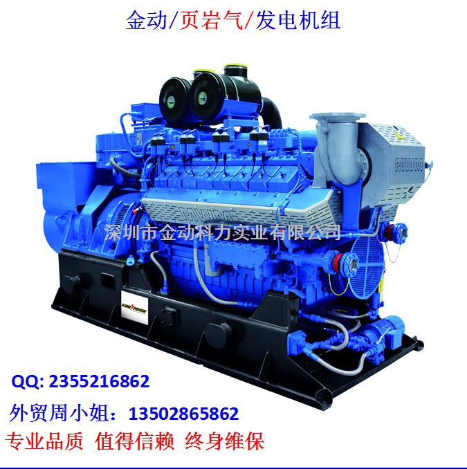 【深圳頁巖氣發(fā)電機】 發(fā)展趨勢無懈可擋！